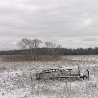 Winter Scene, 2012