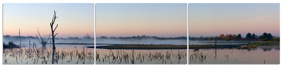 Early Morning on Palatine Marsh