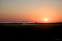 Farmland, Sunrise and Fog